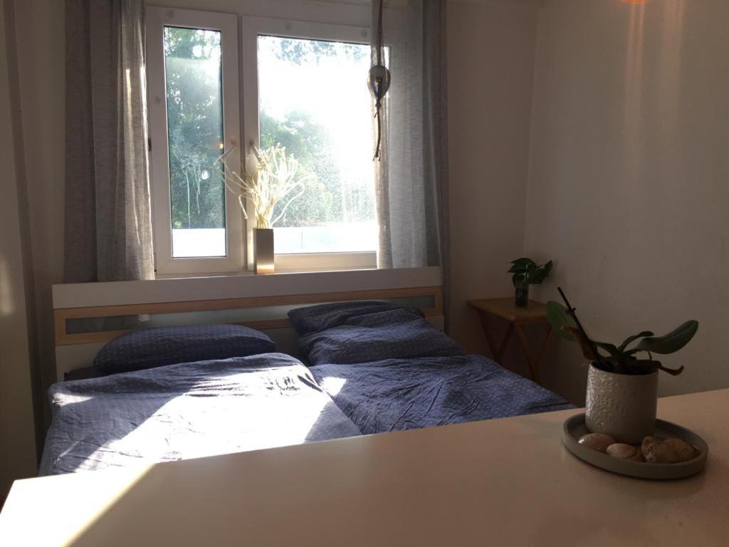 Moderne Wohnung An Der Messe 纽伦堡 外观 照片
